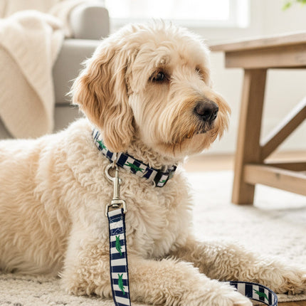 Collection image for: Dog & Me Leashes