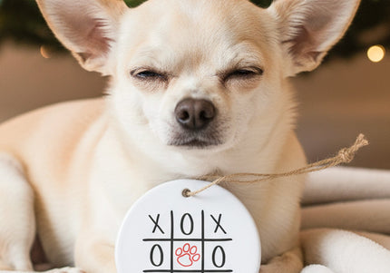 Collection image for: Dog & Me Ornaments