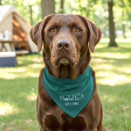 Collection image for: Dog & Me Bandanas