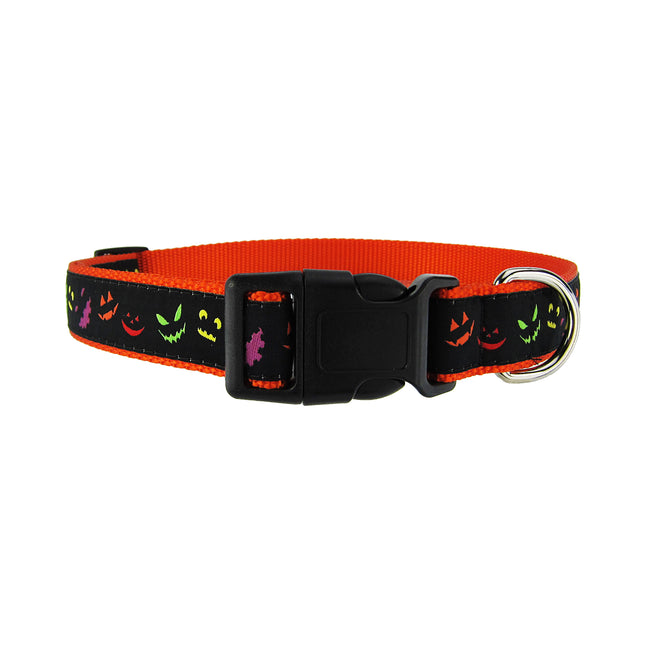 Jack O' Lantern  - Dog Collar