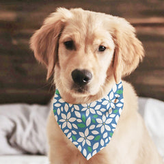 Pet Bandanas