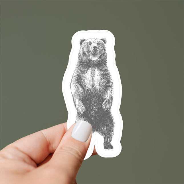 Standing Bear Sketch - Vinyl Sticker