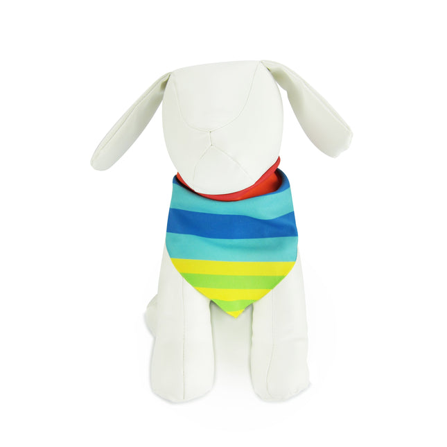 Party Stripes - Pet Bandana