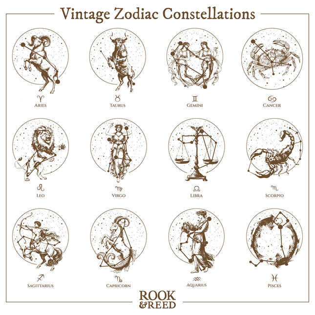 Vintage Zodiac Constellations - Women's Apron