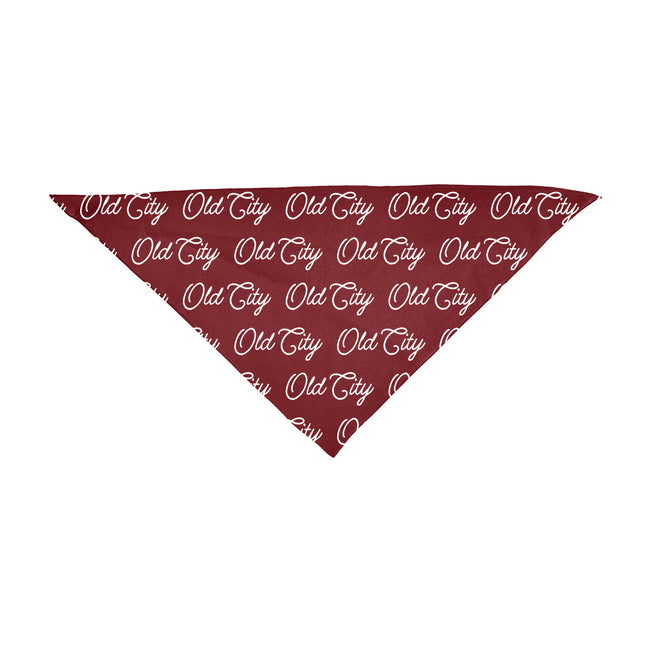 Historic Neighborhood - Custom Triangle Bandana