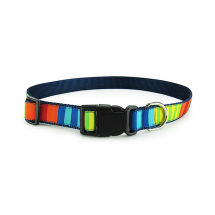 Party Stripes - Dog Collar